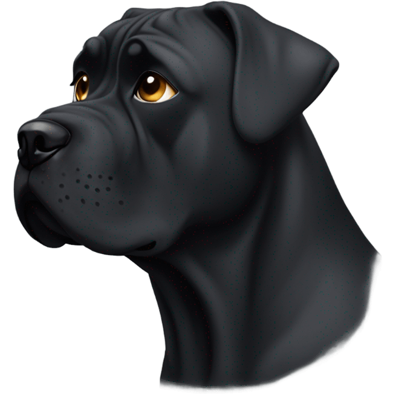  A CaneCorso with a tear in his left eye. emoji