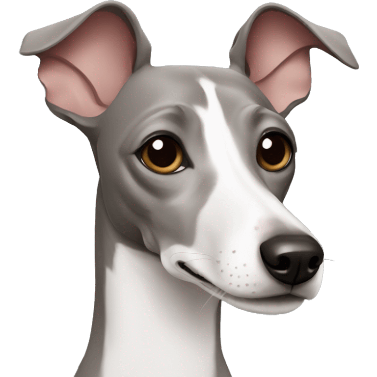 italian greyhound emoji