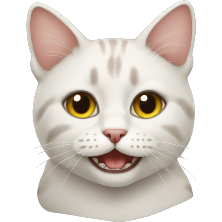 Belarusian cat emoji