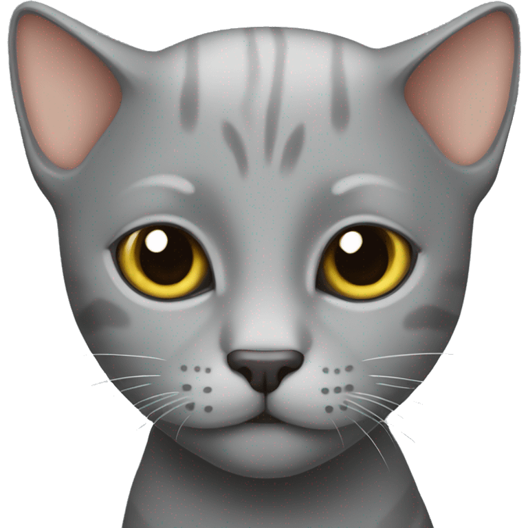 bald gray cat emoji