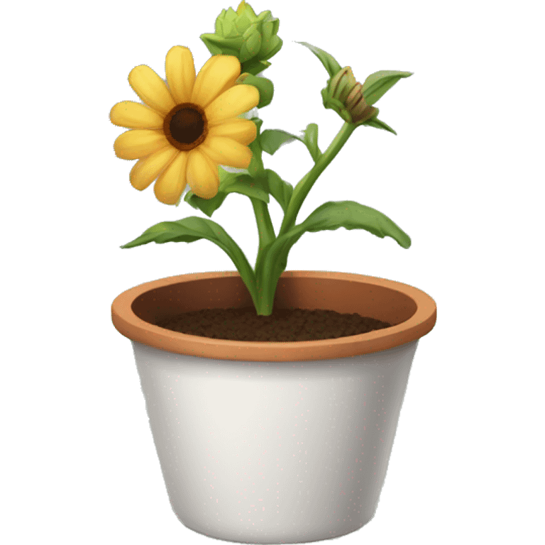 a pot with a dead flower







 emoji