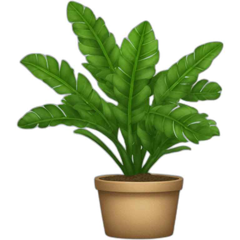 zamioculcas emoji