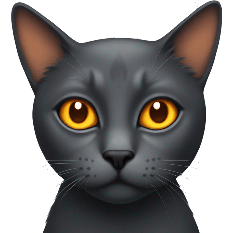 dark grey cat with orange eyes emoji