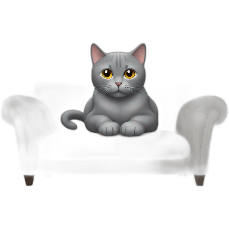 A grey British cat is sitting on the back of the sofa emoji