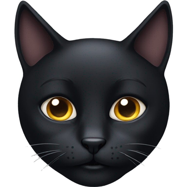 The head of black cat emoji