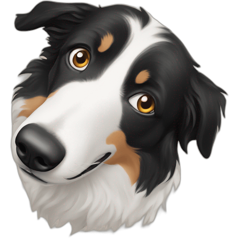 Bordercollie-with-wall-eyes emoji