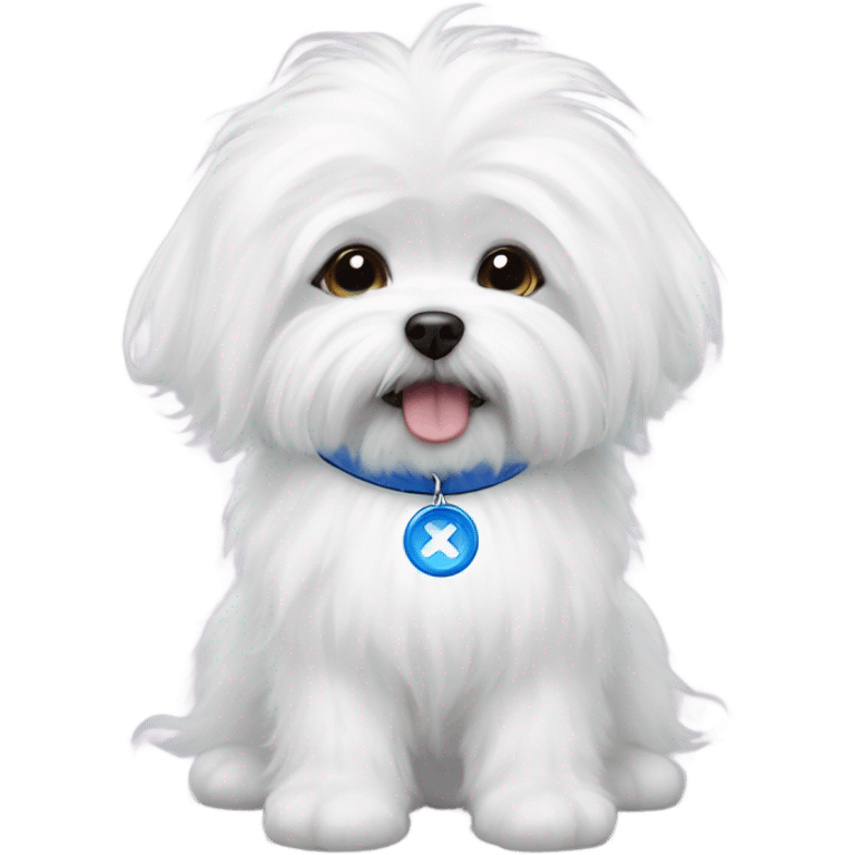 white fluffy maltese that’s super cute with the evil eye blue circle thing as his collar  emoji