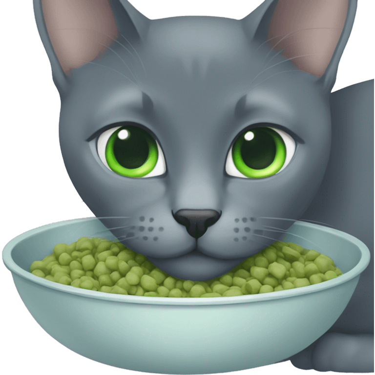 Russian Blue with blue,green eyes, eating cat food emoji