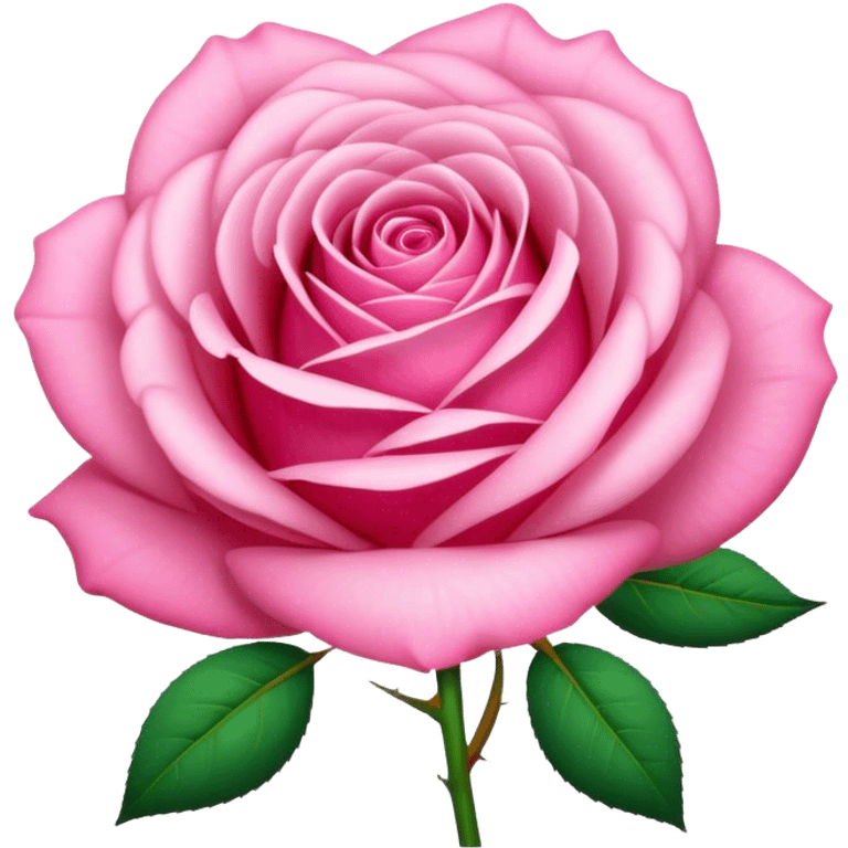 Cute pink rose boquete  emoji