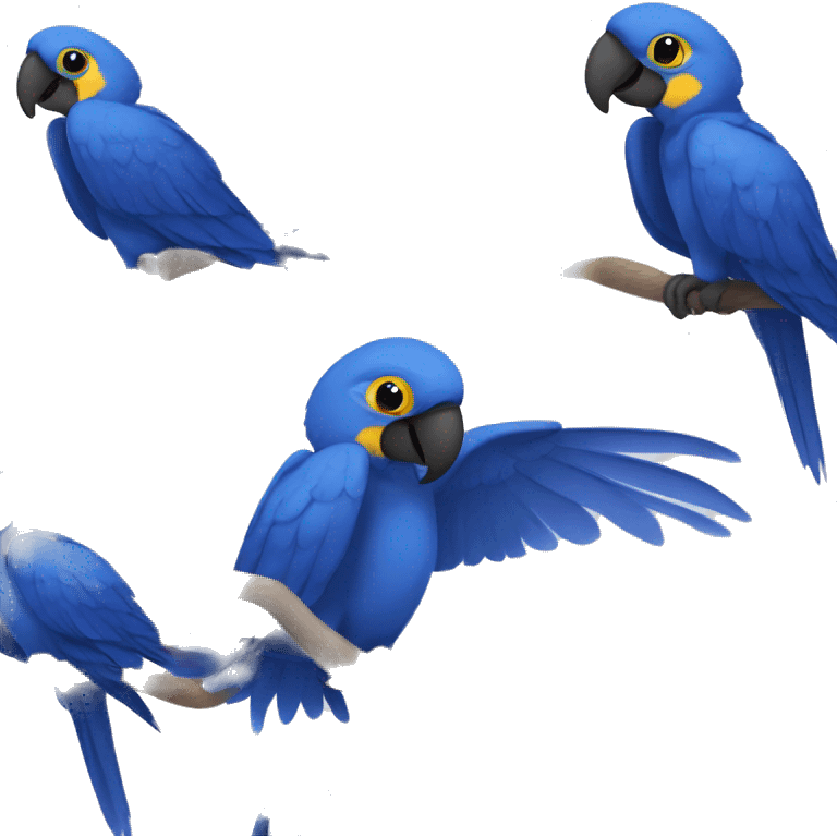 Hyacinth macaw  emoji