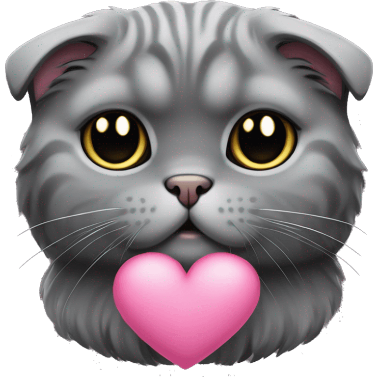 all dark grey Scottish Fold Cat long hair pink heart emoji