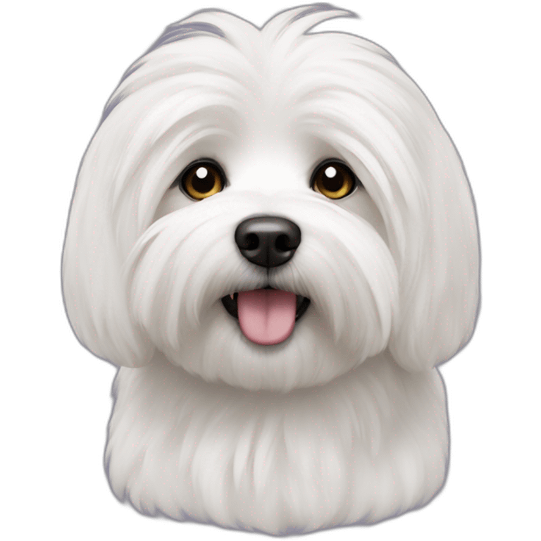 coton de tulear emoji