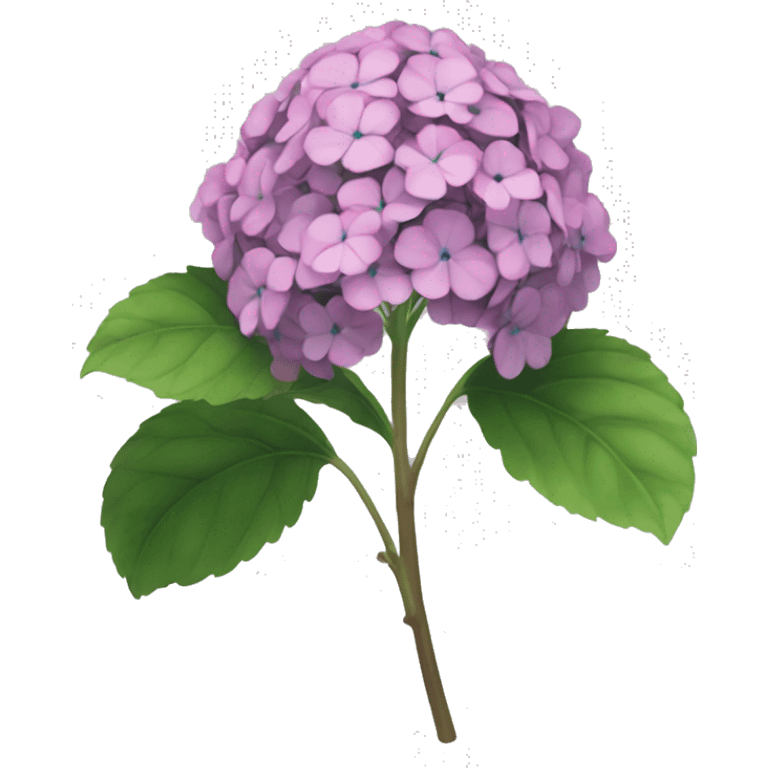 generate slack emoji image for "Hydrangea macrophylla" with a few fetal with large size emoji