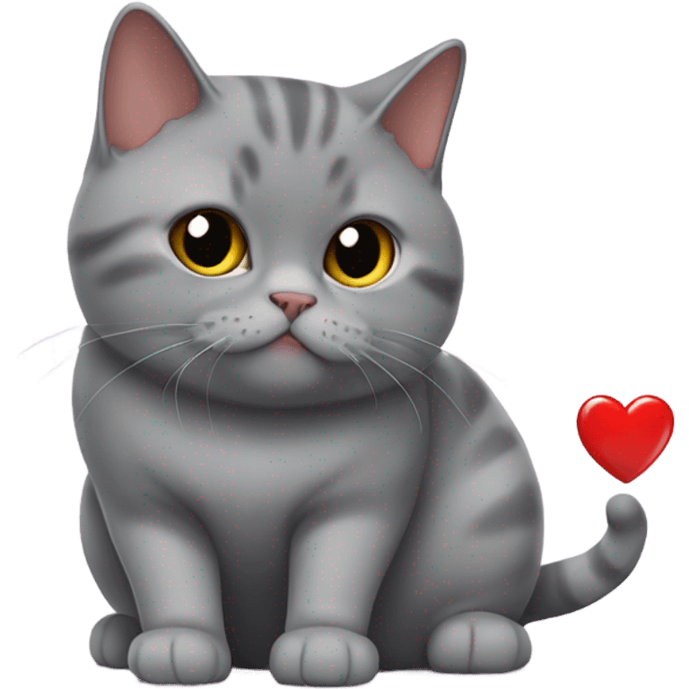 Cat (british shorthair) pukes out a big heart emoji