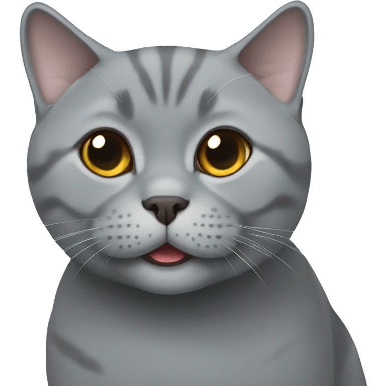 Grey British shorthair smiling emoji