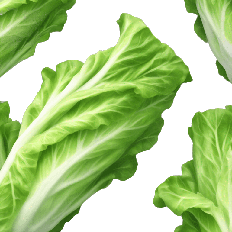 Romaine lettuce emoji