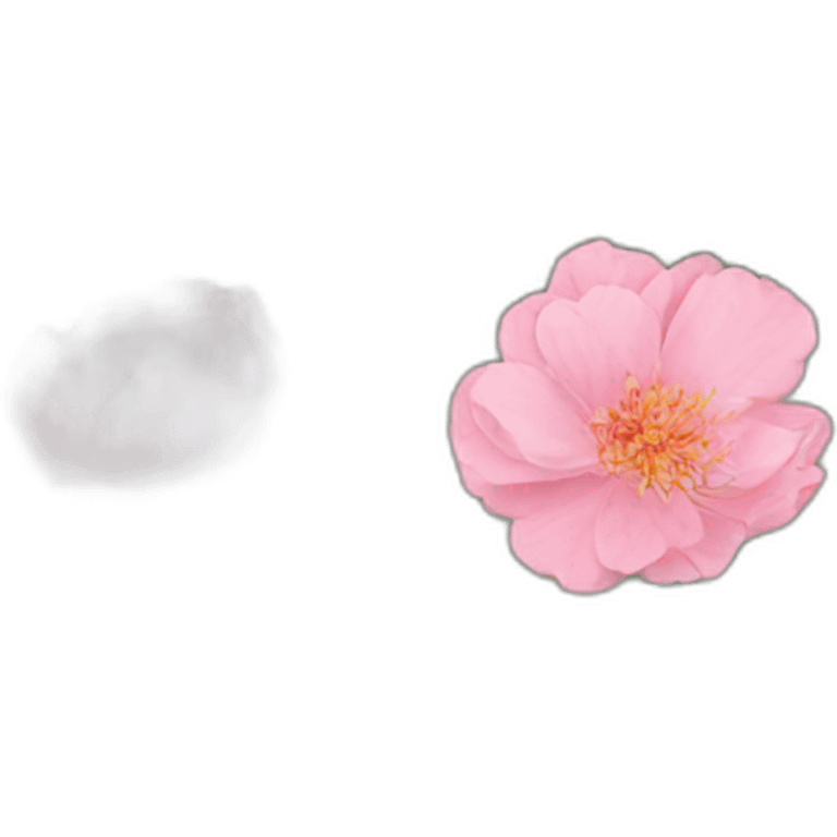 Pivoine emoji