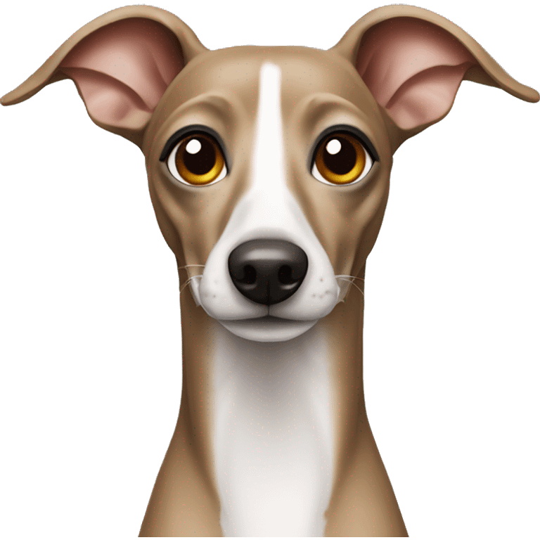 Italian greyhound dog emoji