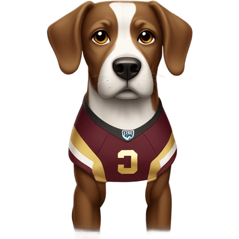 Black white and tan dog in a maroon and gold football uniform  emoji