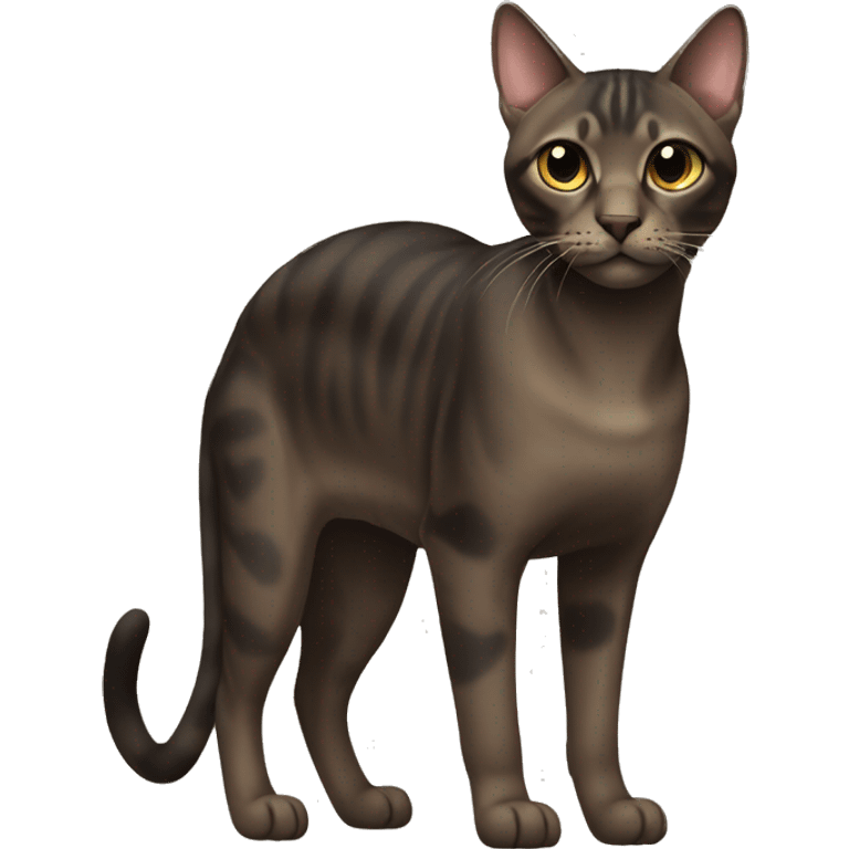 Dark Sokoke Cat Breed Full Body emoji