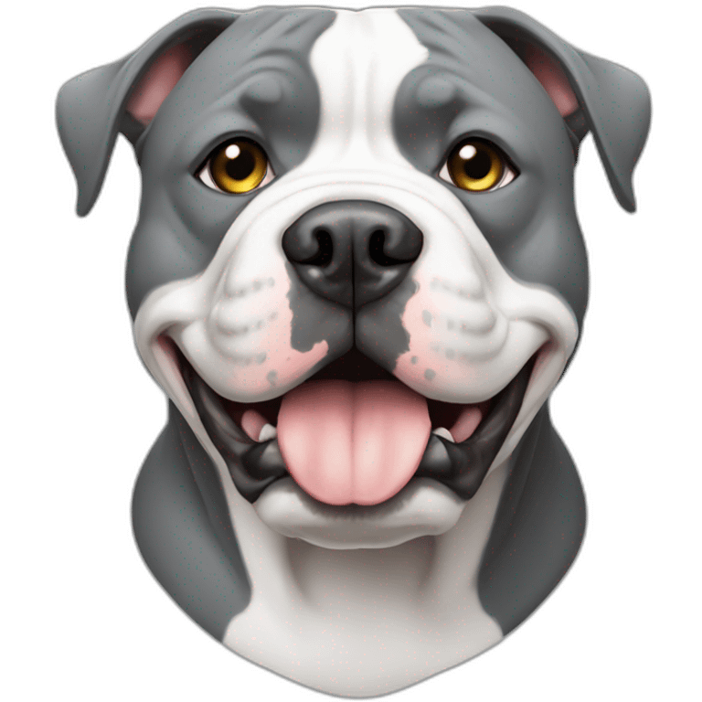 American bully grey and white  emoji