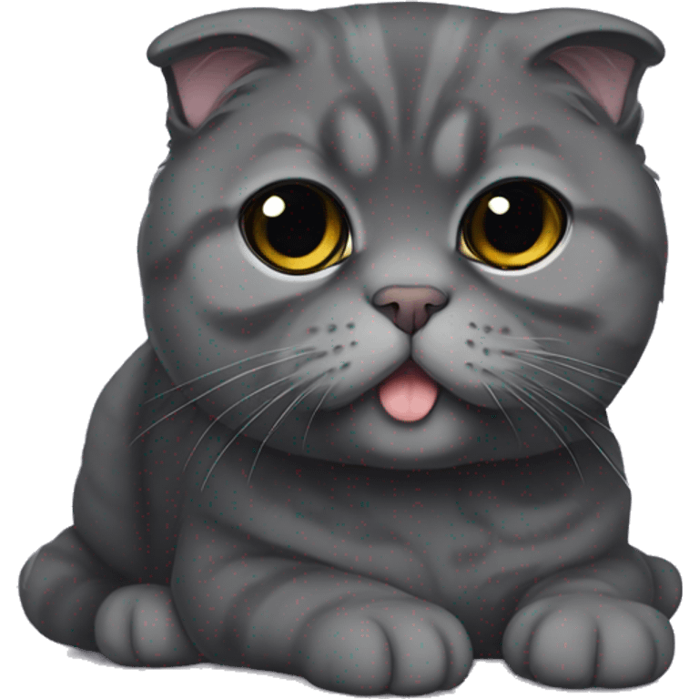 dark gray Scottish fold emoji