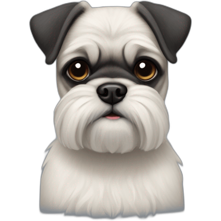 pug x schnauzer with white furr emoji