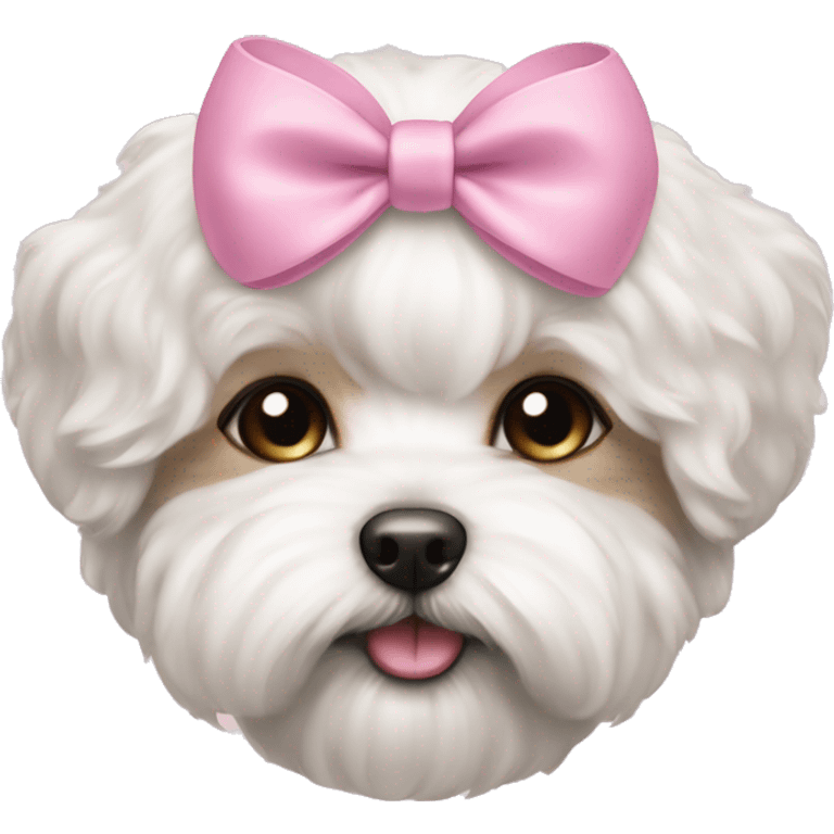 Schichon puppy pink bow  emoji