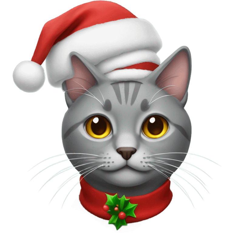 grey cat with christmas hat emoji