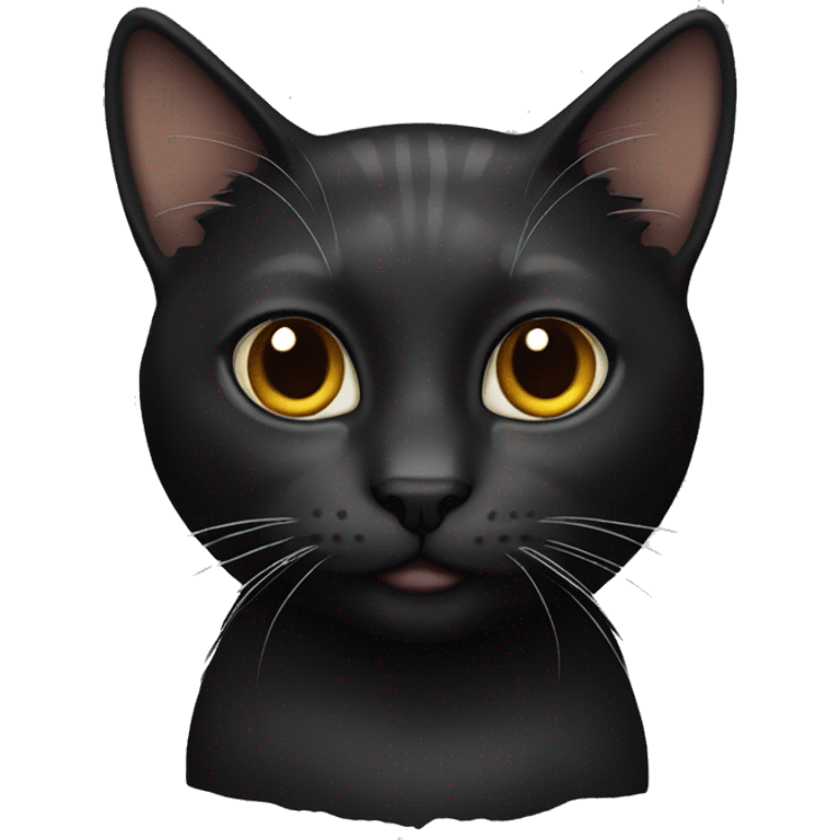 Cat black  emoji