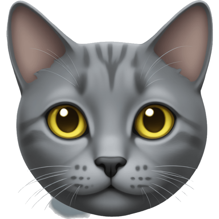 Grey Chartreux cat emoji