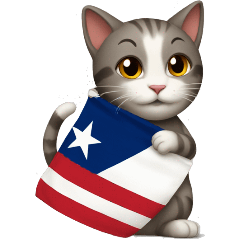 cat hugging texas flag emoji