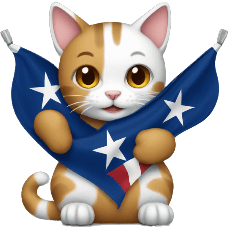 cat hugging texas flag emoji