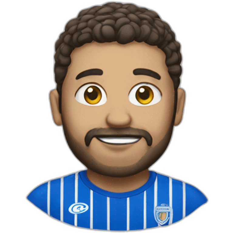 Sheffield wednesday emoji