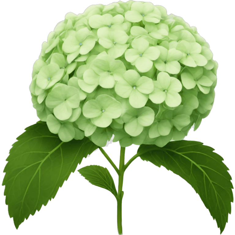 hydrangea  emoji