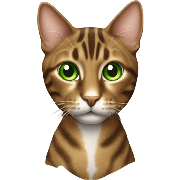 Realistic, green eye, brown tabby cat whole body emoji