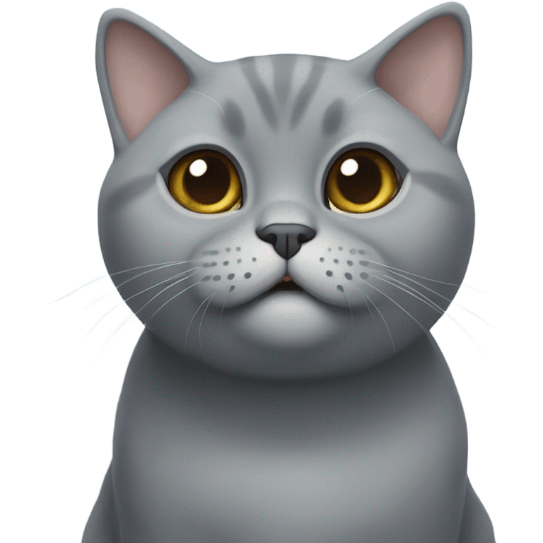 derpy british shorthair cat emoji