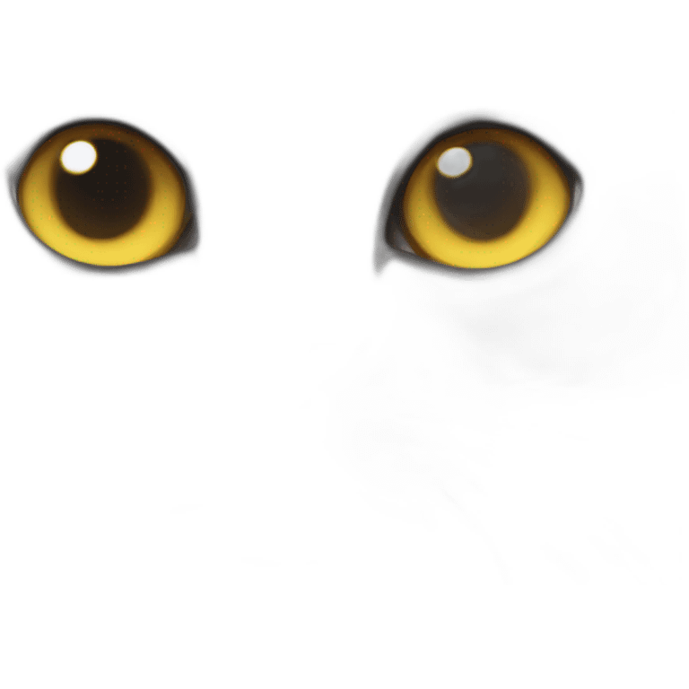 Chuncky grey British shorthair golden eyes emoji