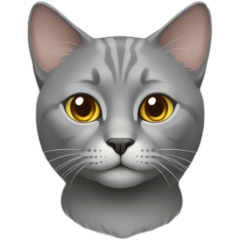 Grey russian cat emoji