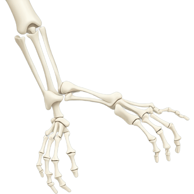 anatomy arm bones emoji