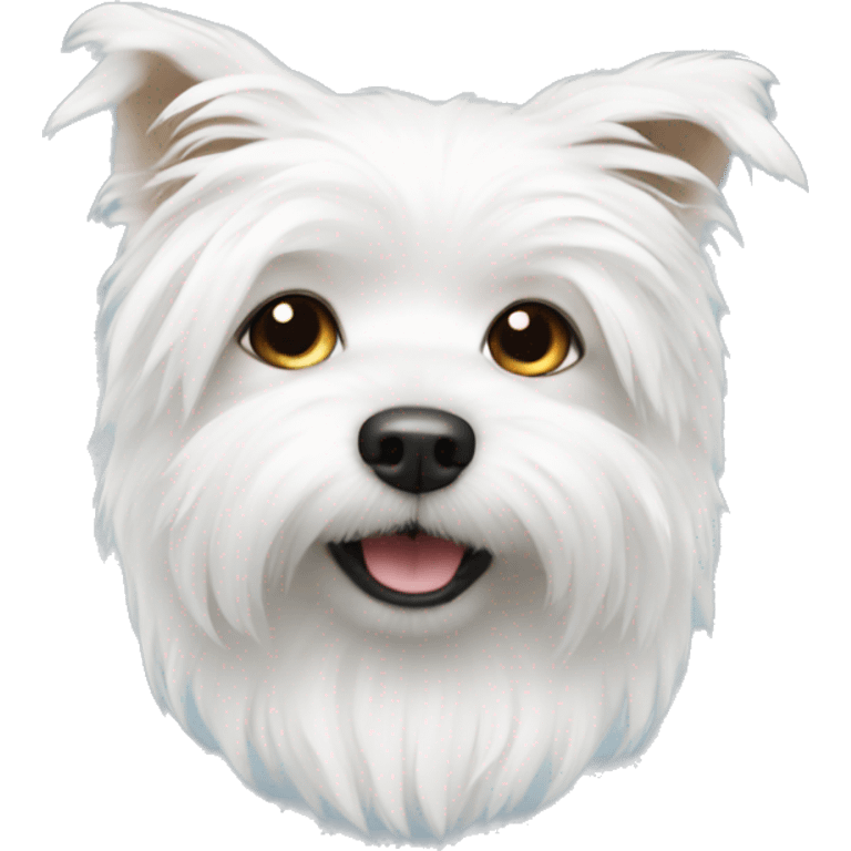 white fluffy small dog emoji