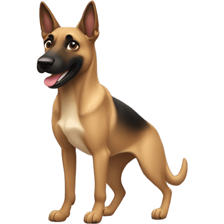 malinois qui danse  emoji