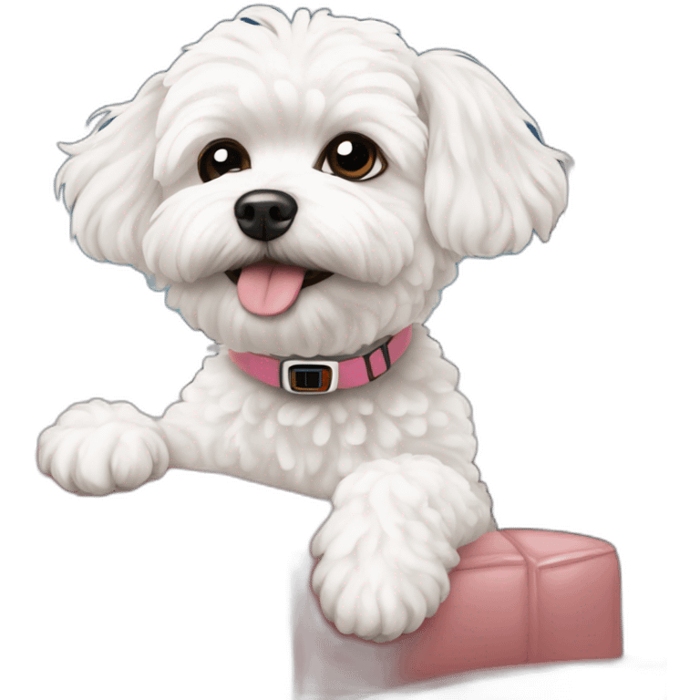 white maltipoo watching tv emoji