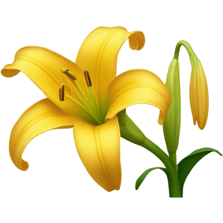 golden yellow lily flower emoji