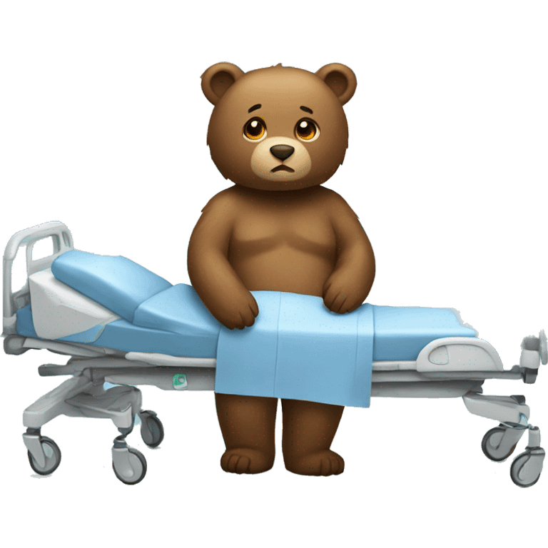 Bear in hospital  emoji