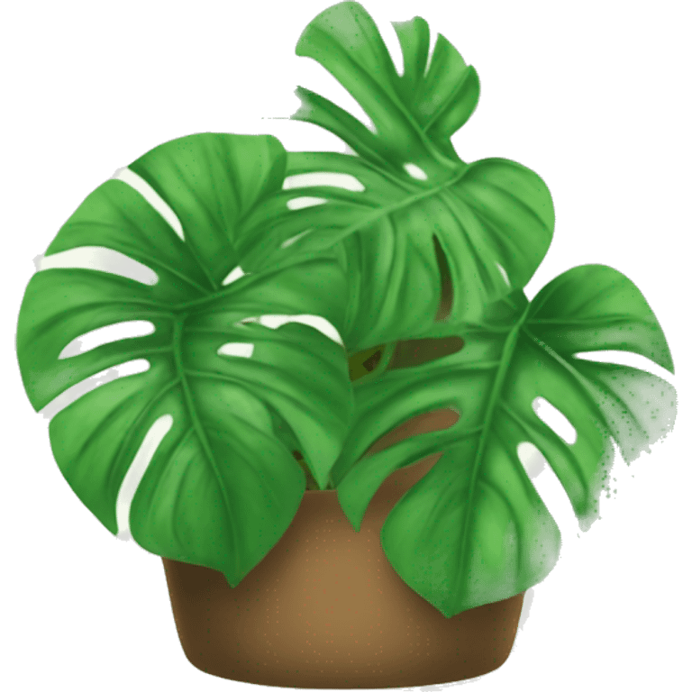 Monstera plants emoji