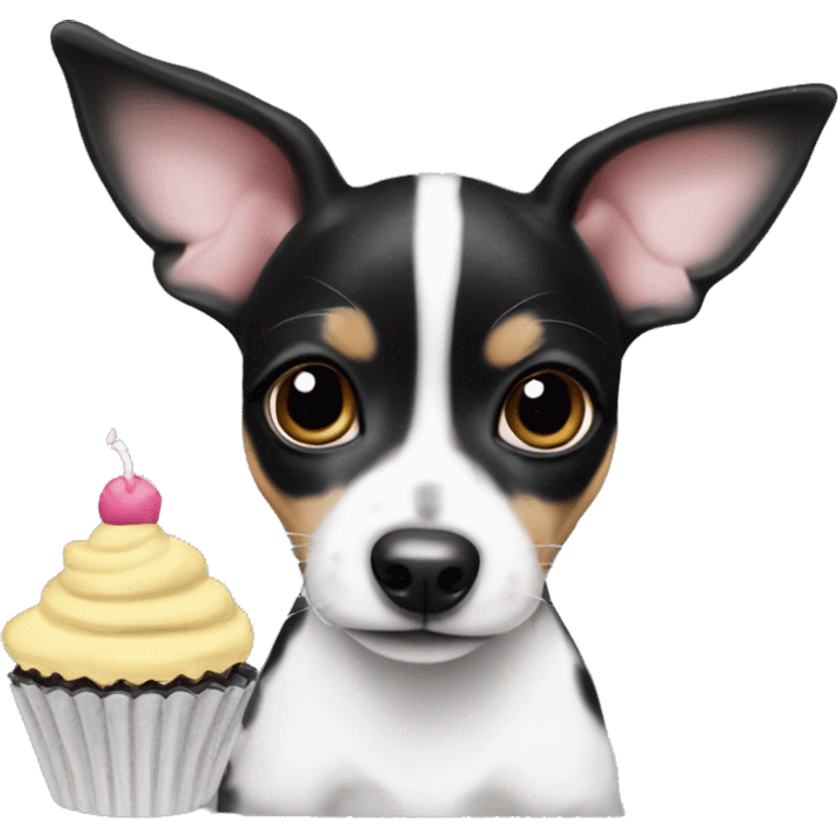 Cute big eyed Black and white rat terrier puppy (no brown or tan) eating a cupcake emoji