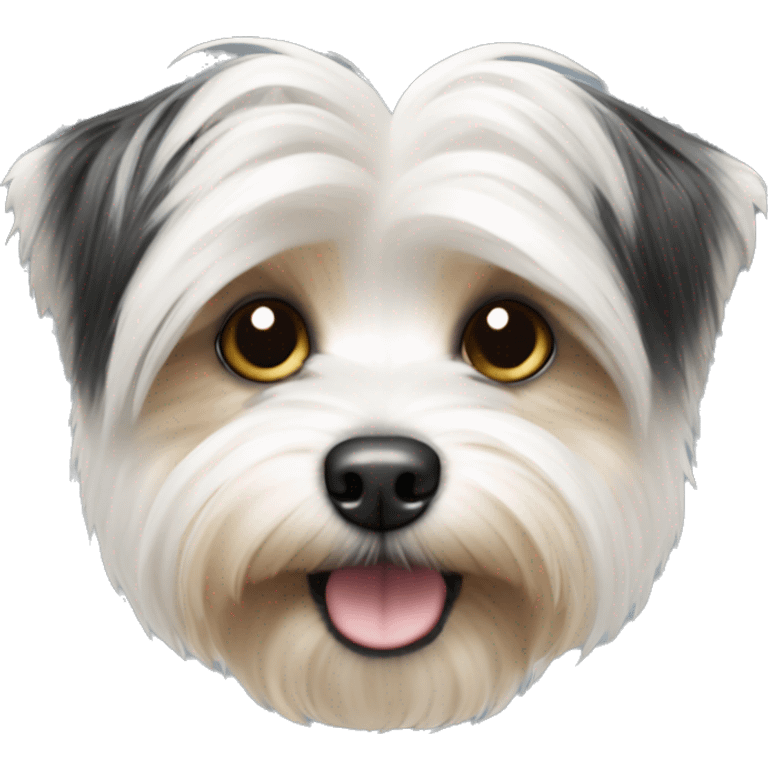 white and black morkie  emoji