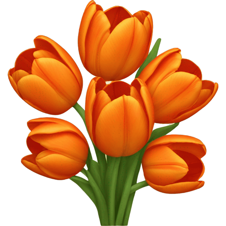 A bouquet of orange ombré tulips emoji