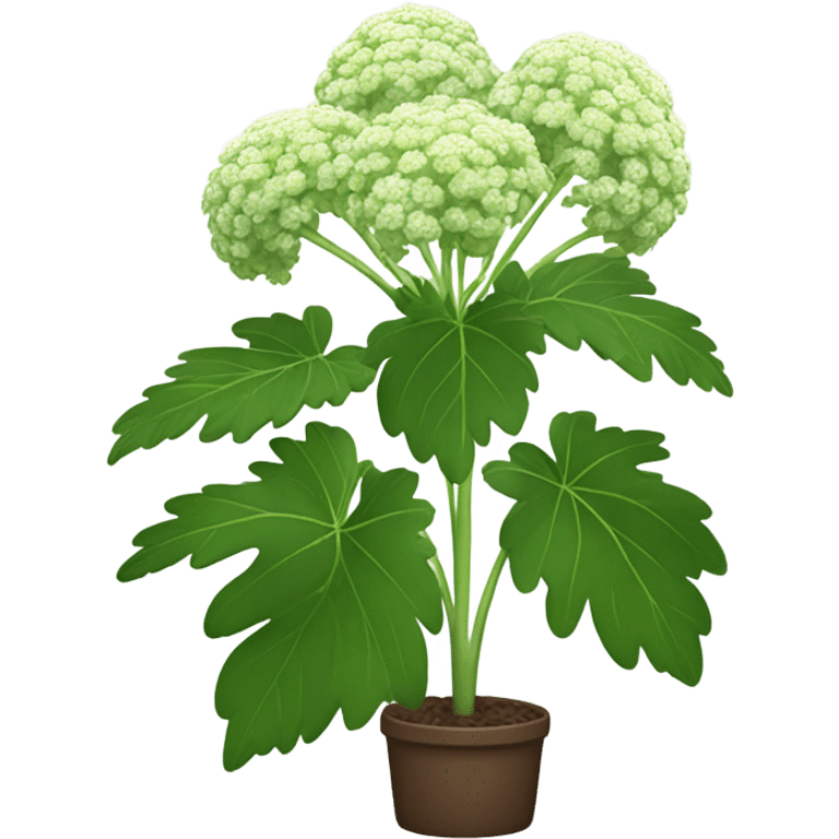 Angelica plant  emoji